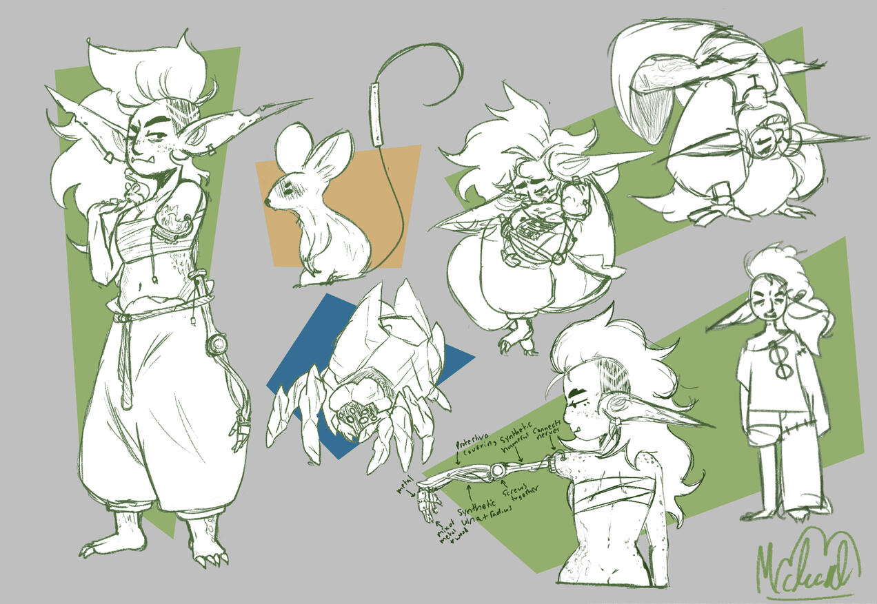 Branch Exploratory Sketches