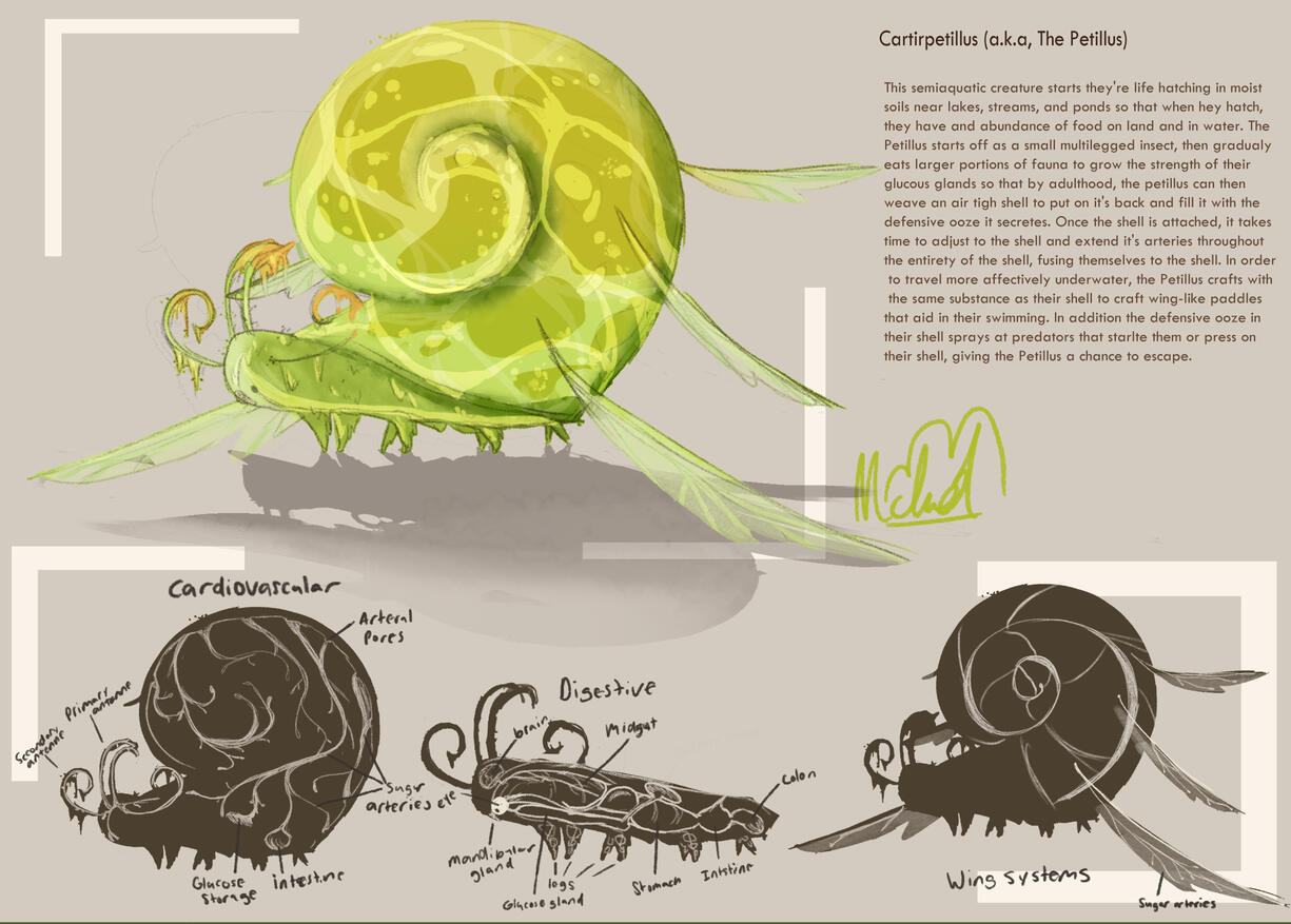 Petillus Creature Design