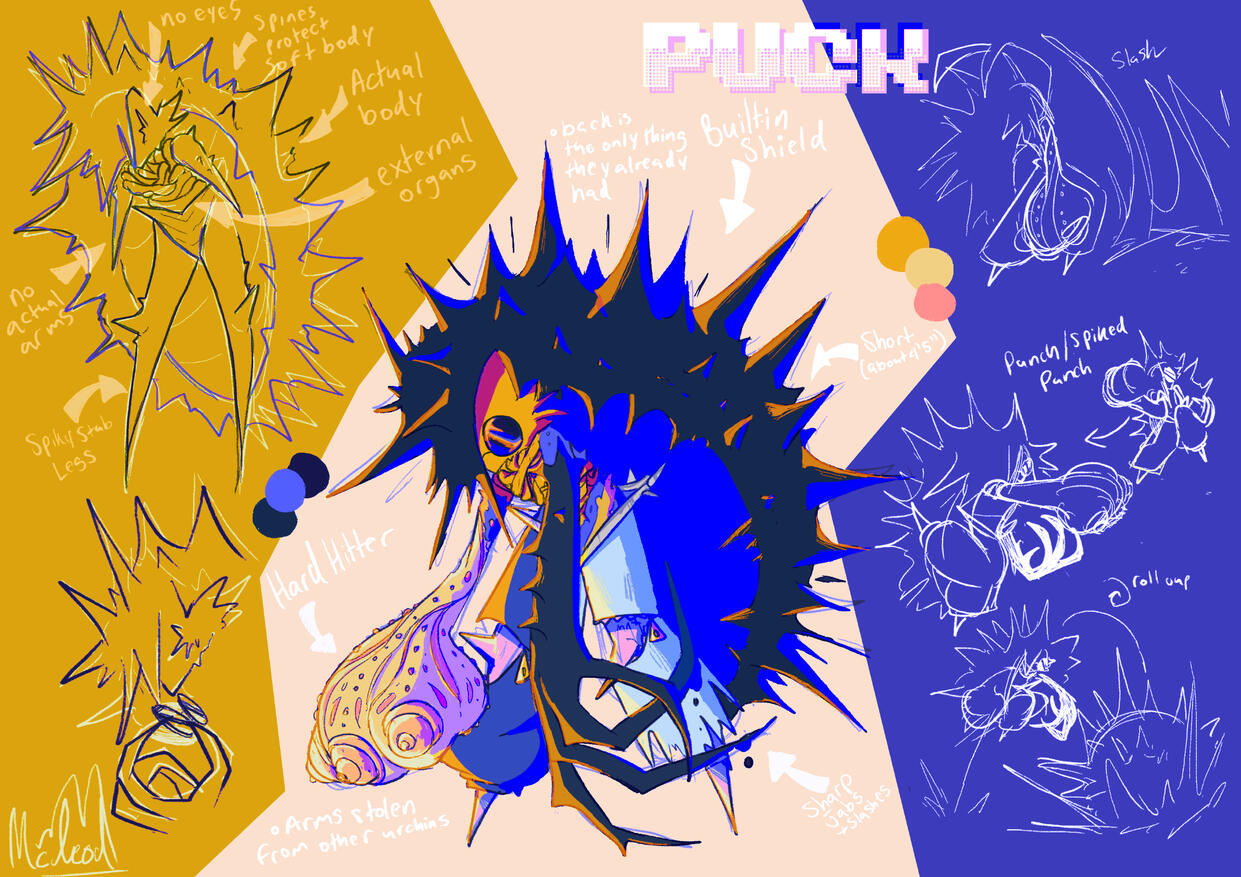 Puck - Sea Urchin Fighting Game Character