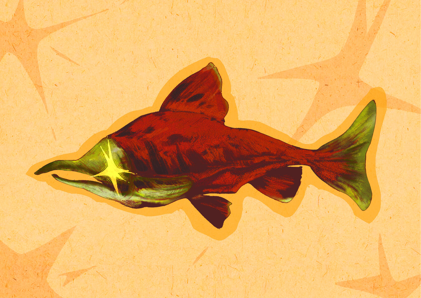 Sockeye Slamon Sockeye Slamon