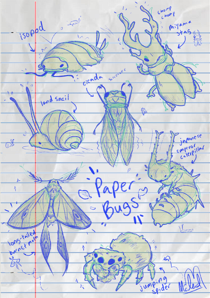 Paper Bugs Paper Bugs
