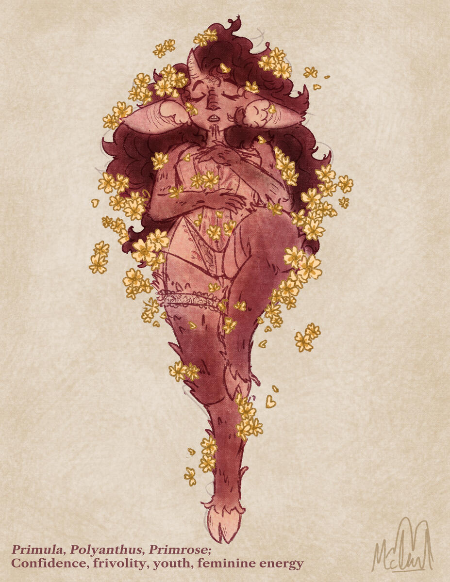 Tinley of the Primroses