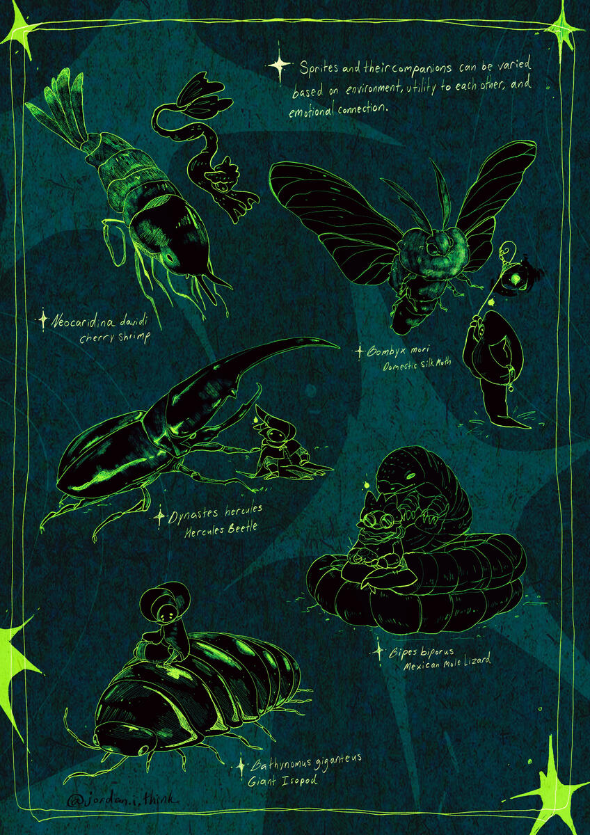 Sprites and Their Compainions